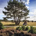 Hotel Western Baars Harderwijk