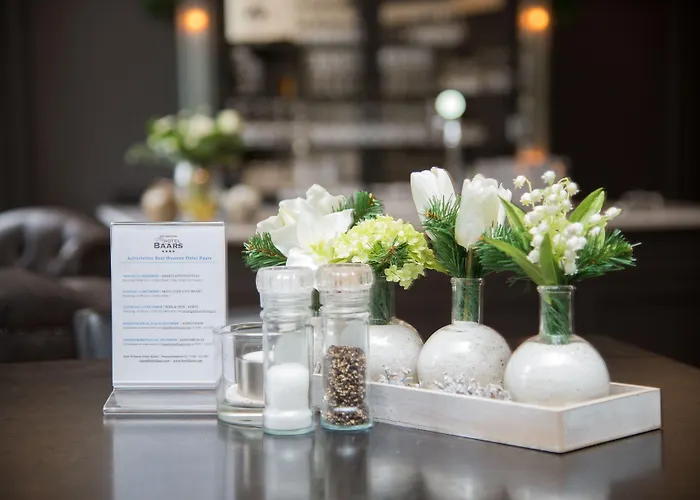 Western Baars Отель Хардервейк